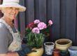 Should We Remove Fallopian Tubes as a Cancer Preventative