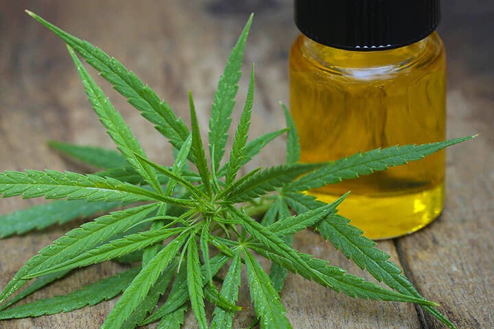blog_cannabis-oil